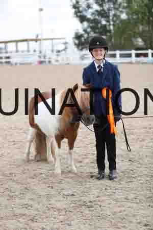 TOM-1373