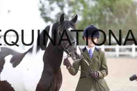 TOM-1375
