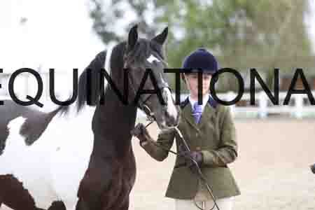 TOM-1376