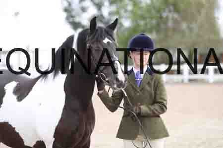 TOM-1377