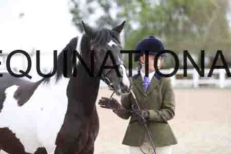 TOM-1378