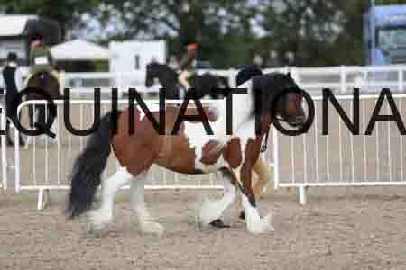 TOM-1382