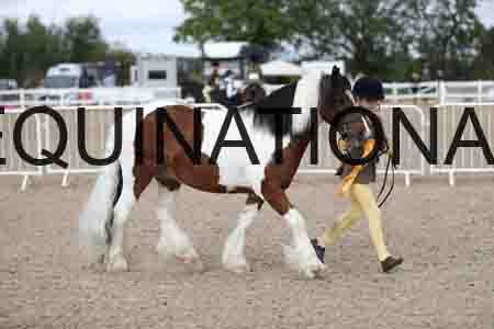 TOM-1386