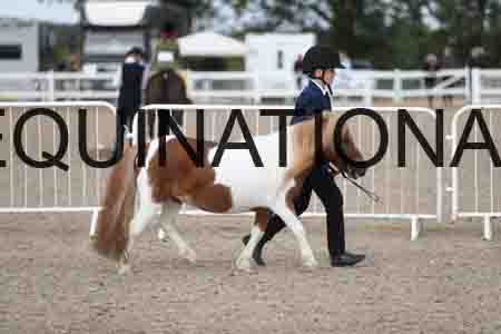 TOM-1391