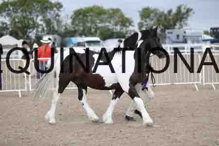TOM-1395