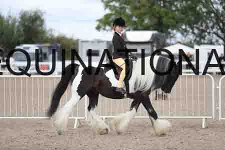 TOM-1397