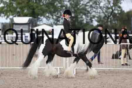 TOM-1398