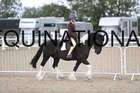 TOM-1399