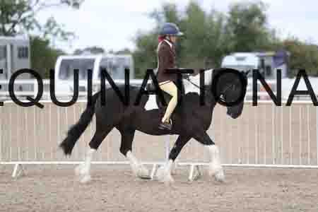 TOM-1401
