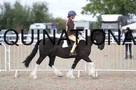 TOM-1402
