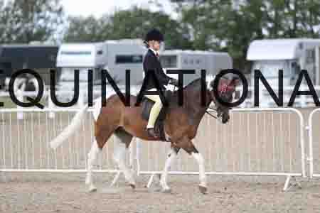 TOM-1403