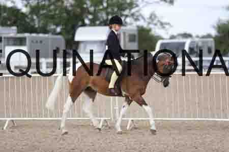 TOM-1404
