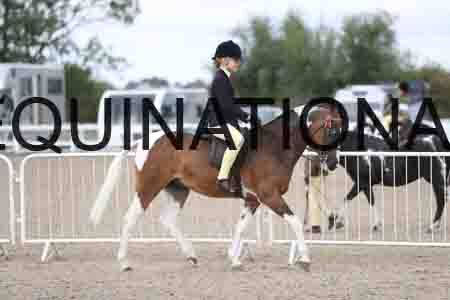 TOM-1405