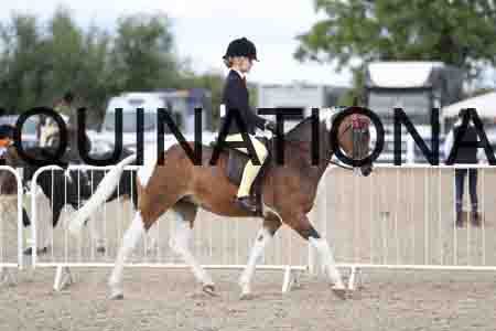 TOM-1406