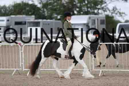 TOM-1407