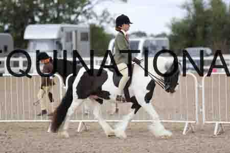TOM-1408