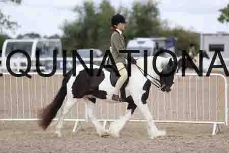 TOM-1409