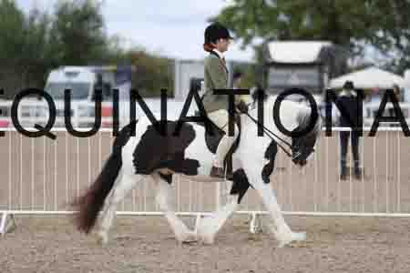 TOM-1410