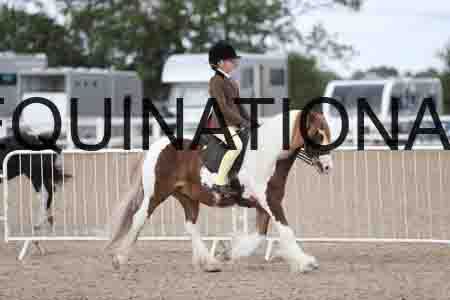 TOM-1411