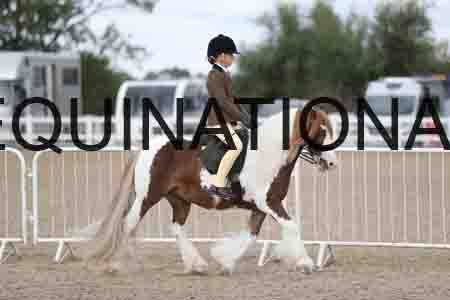 TOM-1412
