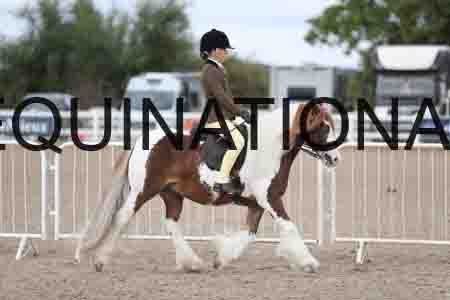 TOM-1413