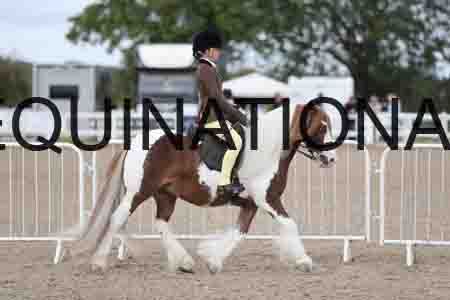 TOM-1414