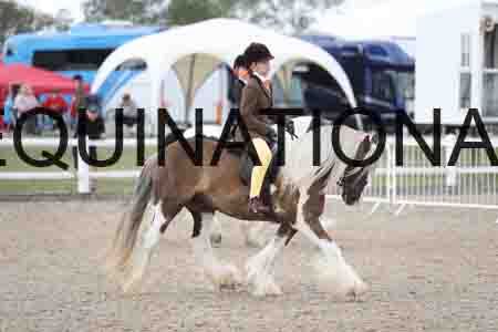 TOM-1416