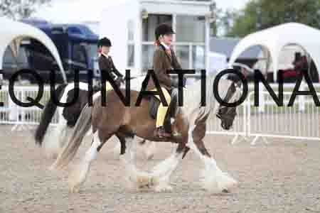 TOM-1417