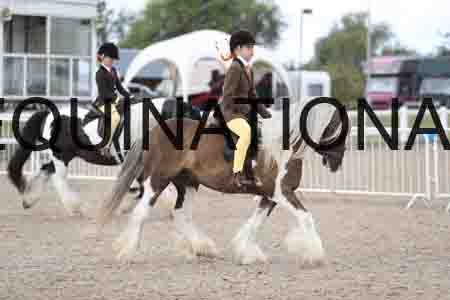TOM-1418