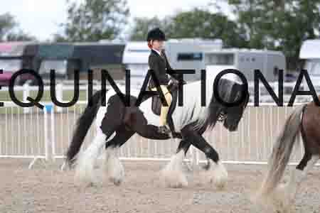TOM-1419