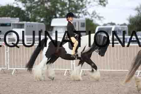 TOM-1420
