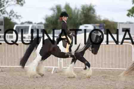 TOM-1421