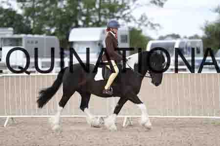TOM-1423