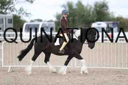 TOM-1424