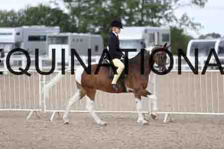 TOM-1425