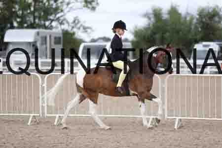 TOM-1426