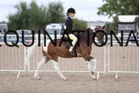 TOM-1427