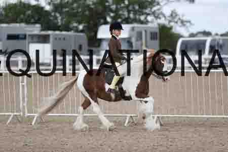 TOM-1428