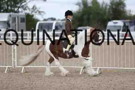 TOM-1429