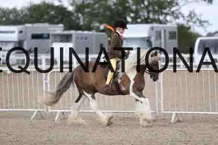 TOM-1431