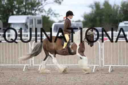 TOM-1432