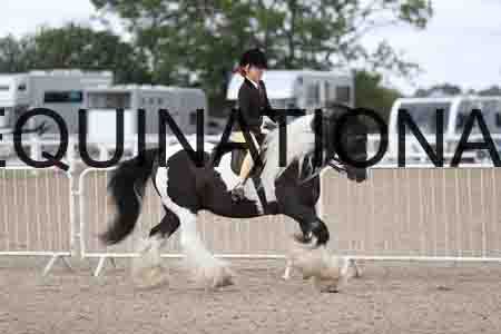 TOM-1433
