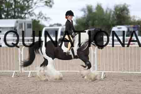 TOM-1434