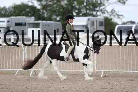 TOM-1435