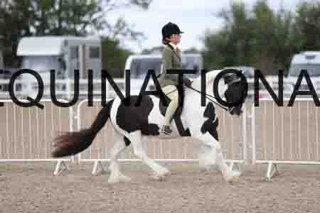 TOM-1436