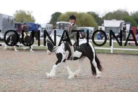 TOM-1437