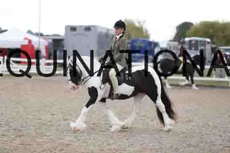 TOM-1438