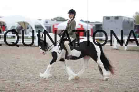 TOM-1439