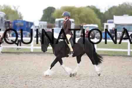 TOM-1440