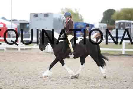 TOM-1441